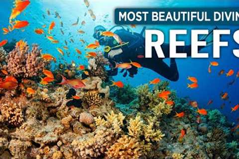 Most Beautiful Diving Places Around The World | Travel Guide 2023