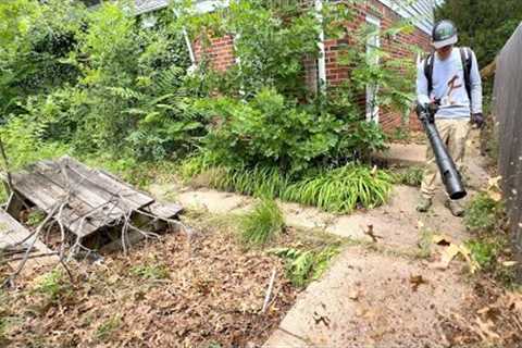 This house nearly VANISHED after the owner packed up and left during the PANDEMIC