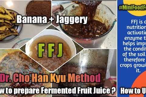 How to Prepare Fermented Fruit Juice &amp; How To Use | Cho Han Kyu Method | FFJ | Mini Food Forest