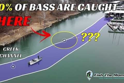 90% of Bass Live In THIS 10% of Your Lake | #Catch15