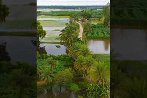 Satisfy Drone View in Village 💥👍 #travel #dronview #nature #shorts