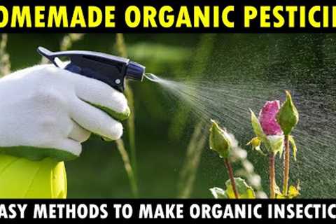 Best Homemade Organic Pesticides for Vegetable Plants | How to make Organic insecticide at Home