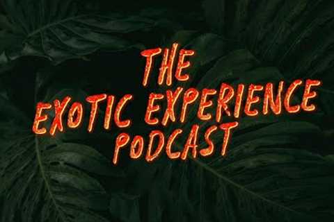 The Exotic Experience #2 - Leopard gecko health w/ Justin Falsis