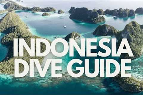 Scuba Diver Dive Guide to Indonesia