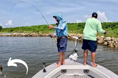 Catching And Cooking The BEST TASTING Inshore Fish There IS!