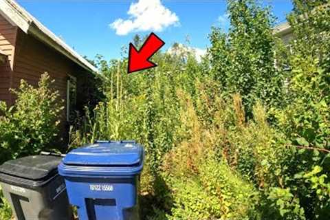 You Think THIS is OVERGROWN? Wait Until You See The BACK! Week In The Lawn Care Life #11