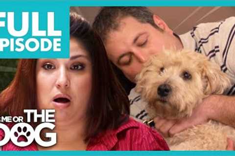 Owner Loves his Dog More than his Girlfriend😳 | Full Episode USA