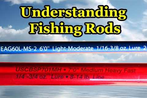 Understanding Fishing Rods and Basics of How to Buy a Fishing Pole
