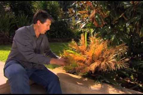The Garden Gurus - Gardening Myths