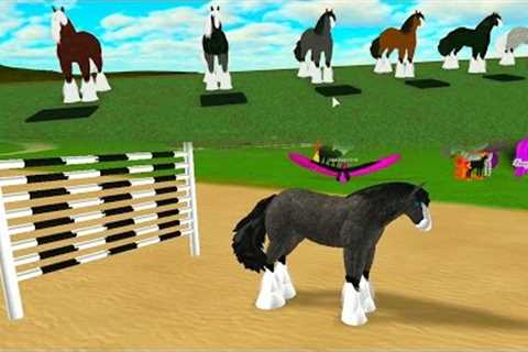 Crazy Horse Racing Race Track - Let's Play Online Roblox Horses Games - Honeyheartsc