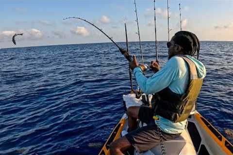 FLYING FISH! How I Catch and Cook Tuna (Tuna Melt)