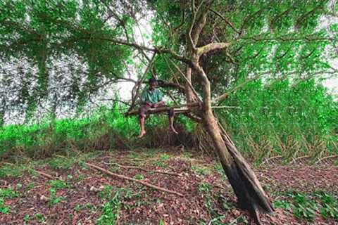 Primitive survival skills in the forest make shelter in the trees#survival @Primitiveshelter