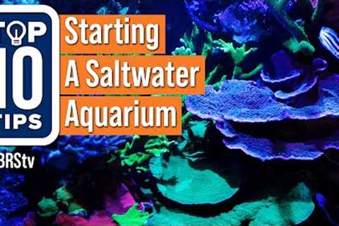 Top Simple Beginner Tips For Starting A Saltwater Reef Aquarium Setup