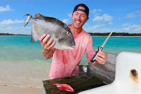 Mystery Ocean Fish Catch Clean &amp; Cook