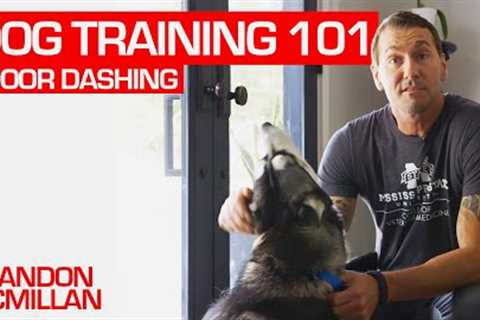 Dog Training 101: Door Dash | Brandon McMillan