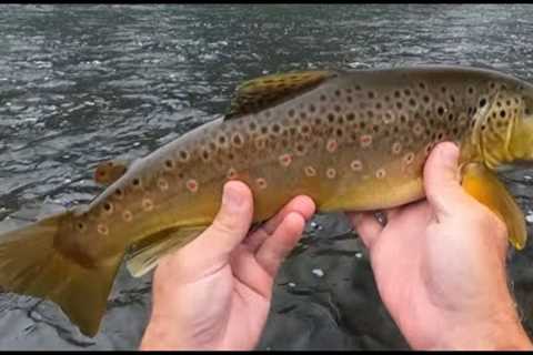 WELCOME TO THE UPPER DELAWARE!!, A Full Day of Fly Fishing the West Branch