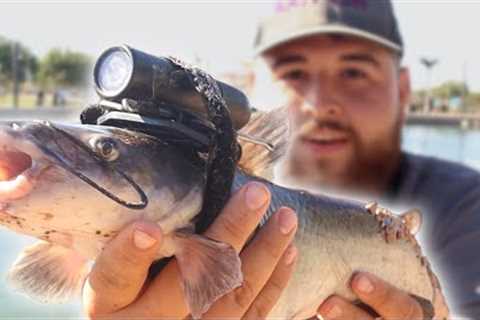 I Strapped a Camera on a Stocked Catfish! (Underwater Footage)