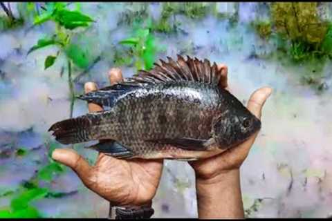 ⚡⚡HEAVY RAING LAKE FISH CAME TO MY HOME GARDEN 😱😱CATCHED BARE HANDS FISHES