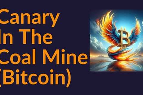 Canary In The Coal Mine (Bitcoin)