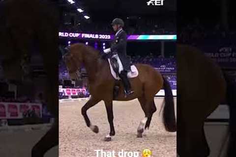 Waiting for the Drop in the Dressage arena 🎤 🥳