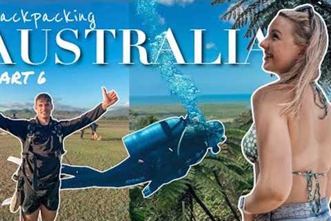 AUSTRALIA TRAVEL VLOG | scuba diving to sky diving in Cairns!