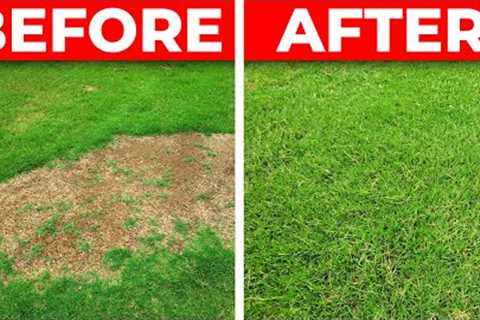 How to Fix a Bare Spot in the Lawn - 3 Tips for Fast Repair