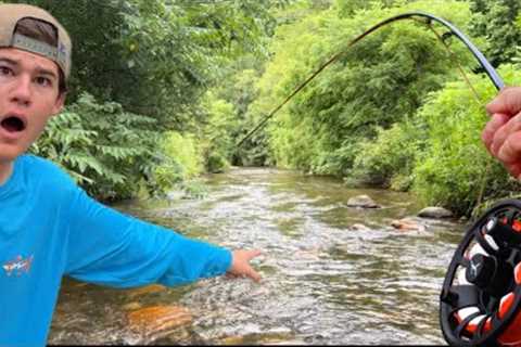 FLY fishing PRISTINE mountain stream for JUMBO trout