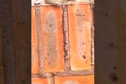 Brick Laying Good Skills, Construction with Waqas