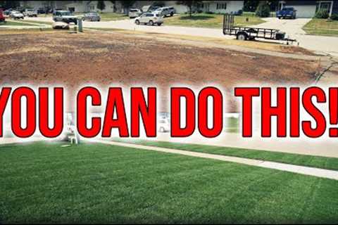 How To Prepare For Fall Lawn Renovation and Overseeding