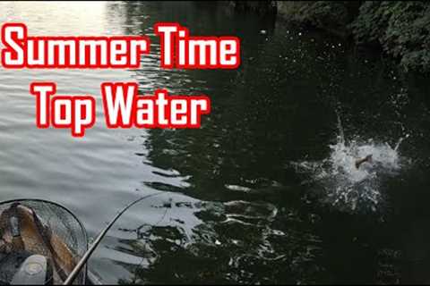 Top Water Bass Fishing on the Chicago River | Whopper Plopper &amp; Wacky Rig Catches | Kayak..