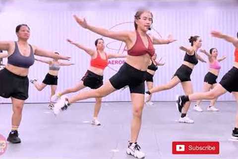 Standing Belly Fat Burn Exercises | Aerobic Exercise For Weight Loss At Home