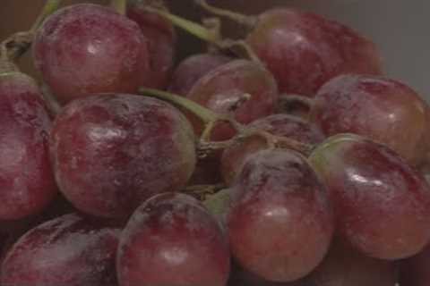 These 3 foods could be key to fighting COVID-19 naturally
