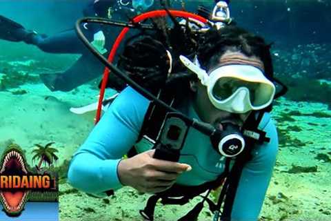 SCUBA DIVING in FLORIDA Springs