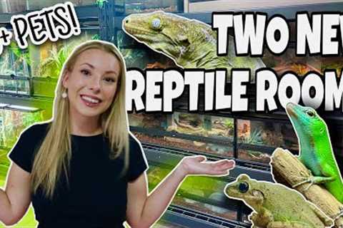 REPTILE ROOM TOUR 2023!! NEW PET ROOMS