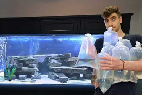 BUYING NEW FISH for AQUARIUM!!