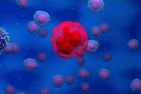 Top 10 Breakthroughs in Medical Science in 2024.