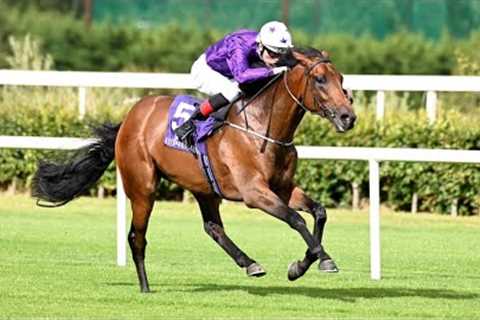 $350,000 purchase HILL ROAD creates HUGE impression on debut at Leopardstown!