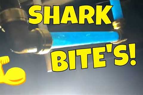 LEAK REPAIR UNDER MOBILE HOME USING SHARK BITES AND PEX