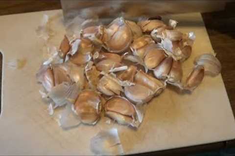 Making Garlic Spray as a Natural Pesticide