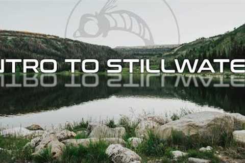 Stillwater Fly Fishing Is Simpler Than You Think! | Introduction to Stillwater Fly Fishing