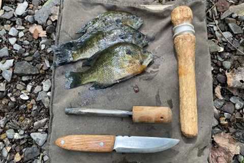 Poor man bushcraft catch and cook - Handmade knife and reel - Foraging bait