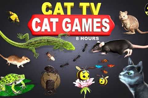 CAT GAMES | THE ULTIMATE CAT TV COMPILATION FOR FELINE FRIENDS | GAMES FOR PETS 4K 8 HOURS