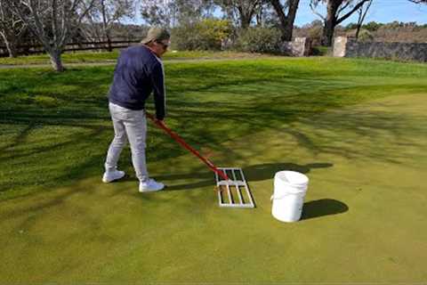 Fixing Winter Damage and Boosting My Lawn for Spring // Fertiliser Boost