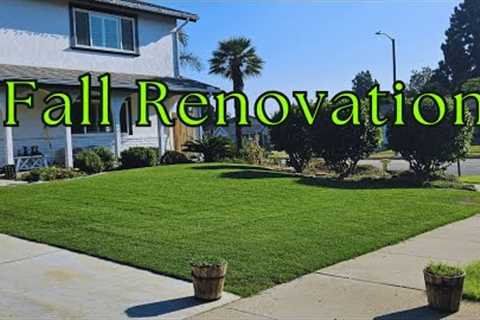 When To Start A Fall Lawn Renovation