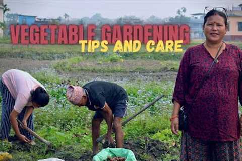 Vegetable Gardening Tips and Tricks I Gardening Ideas for Home I Nepali Gardening Tips