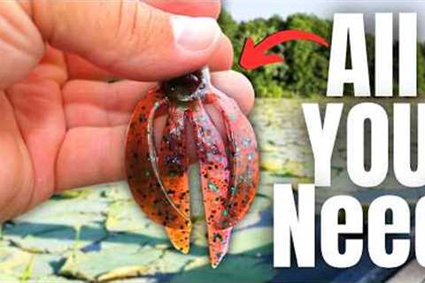 You've Been LIED To About SUMMER Fishing (Lake Break)