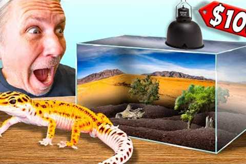 Cheap $100 Leopard Gecko Setup Tutorial !