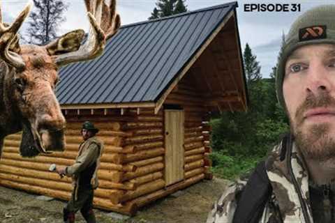 Log Cabin Build on Off-Grid Homestead |EP31| MOOSE