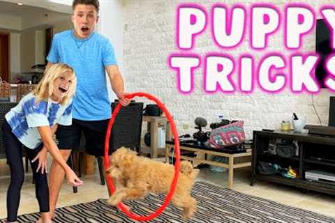 She learned 7 New Puppy Tricks!