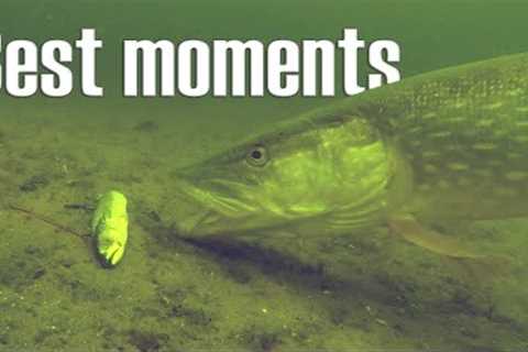 Best fishing moments underwater compilation!